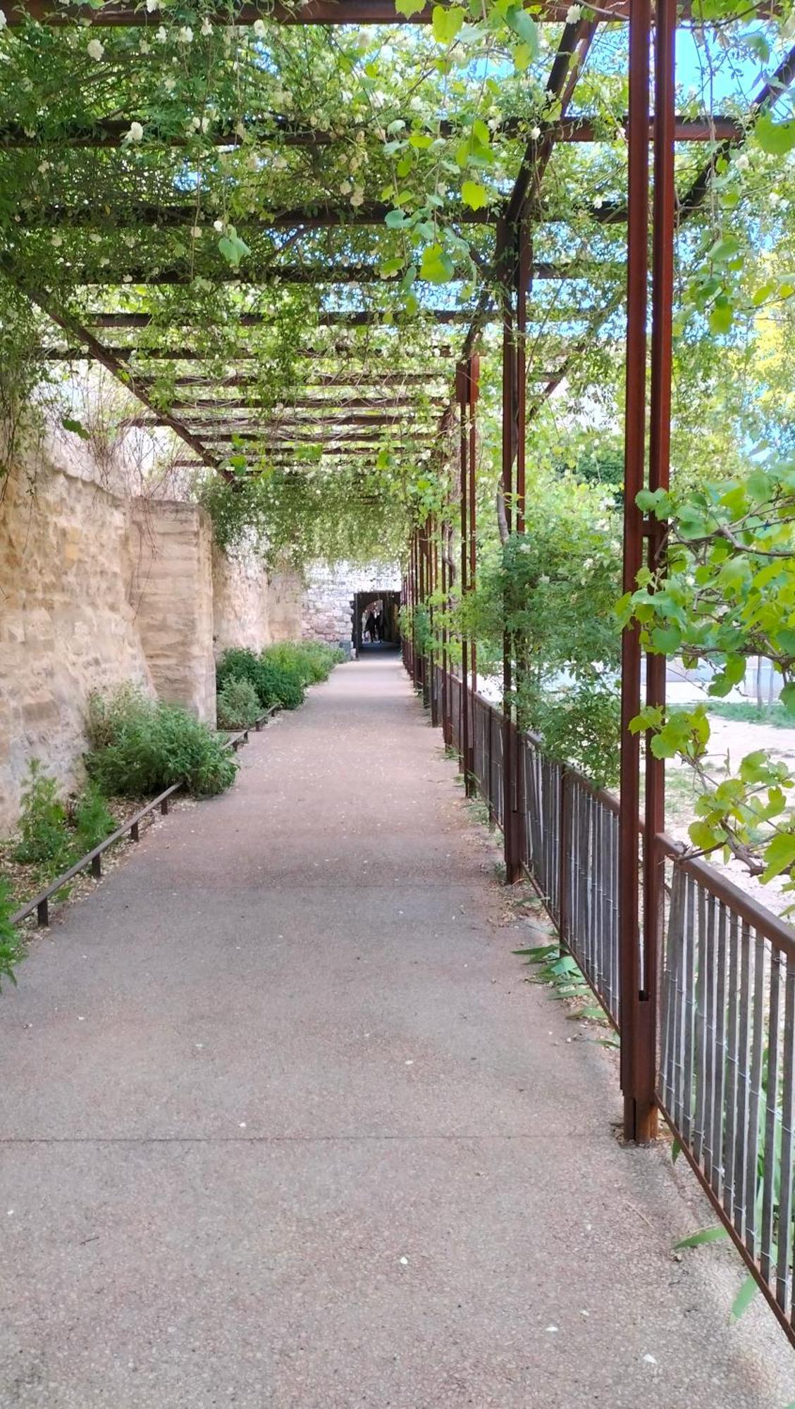 Studio Terrasse, Intra-Muros, Climatise Avec Wifi Avignon Exterior foto